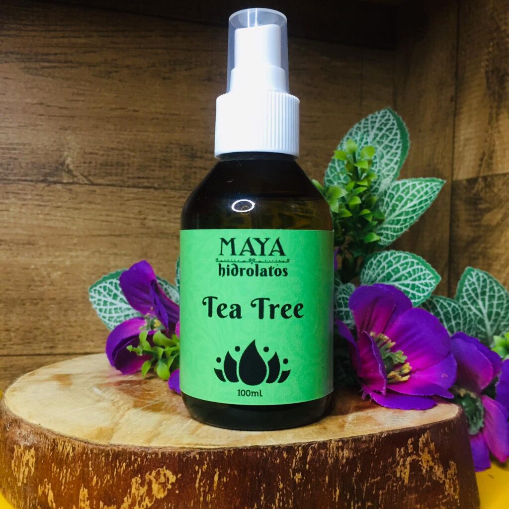 HIDROLATO TEA TREE MELALEUCA Maýa Naturais Maýa Naturais